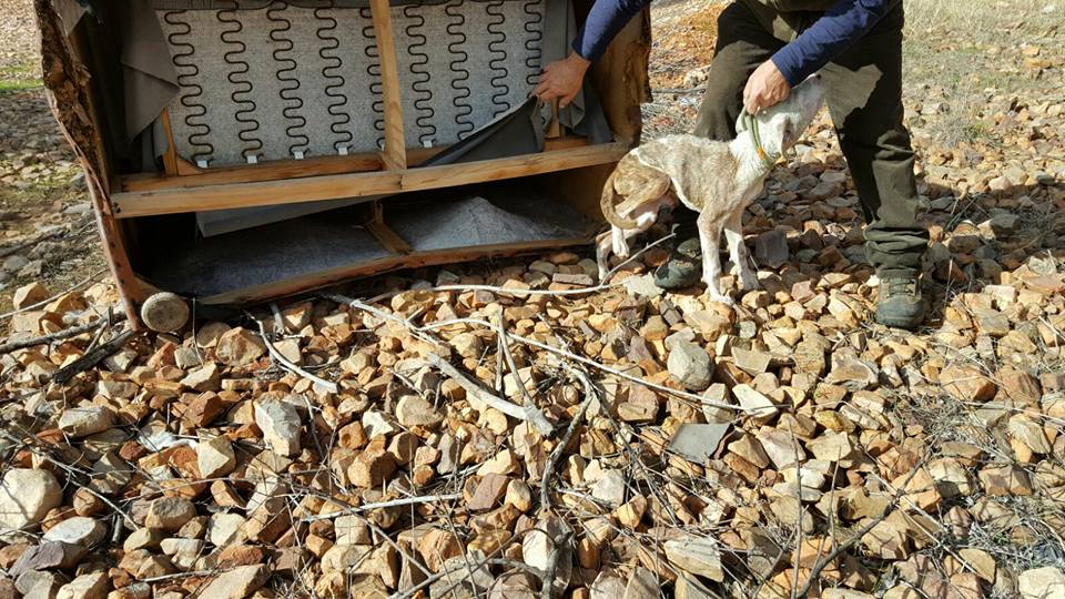 14907003_1360898227267287_2610846016286313569_n