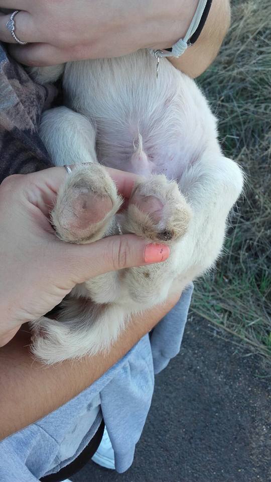 14907697_10206138841910588_4261774921726772702_n