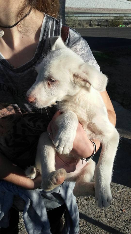 14937206_10206138843990640_755042187323005332_n