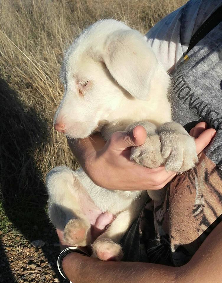 14937353_10206138841430576_197896917084495474_n