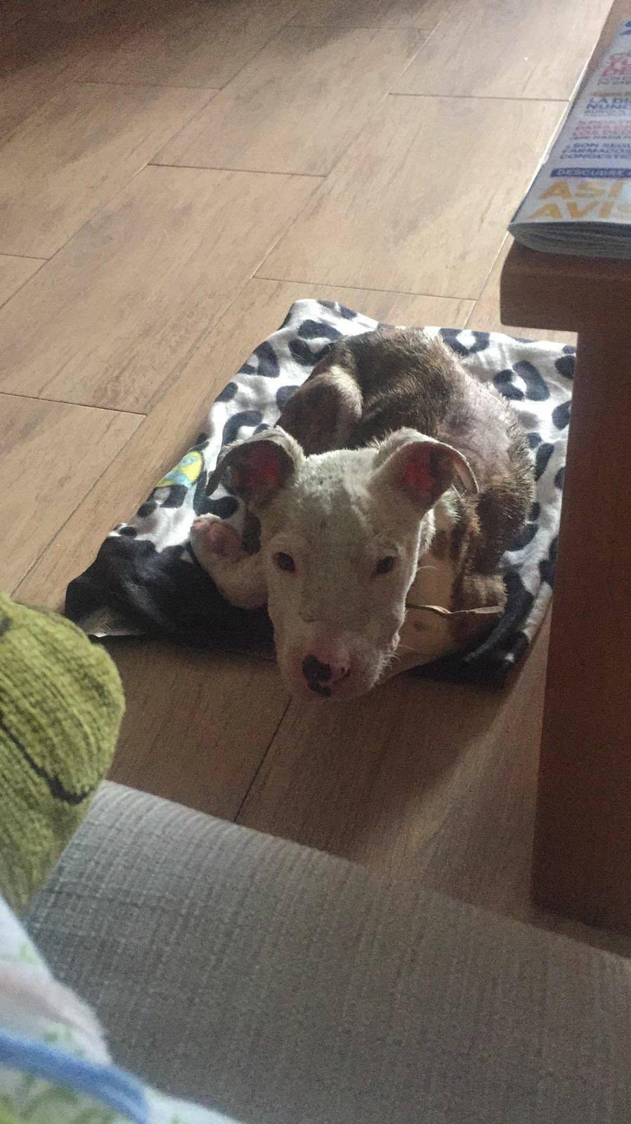 14940049_1364091903614586_6552774255457080267_o1