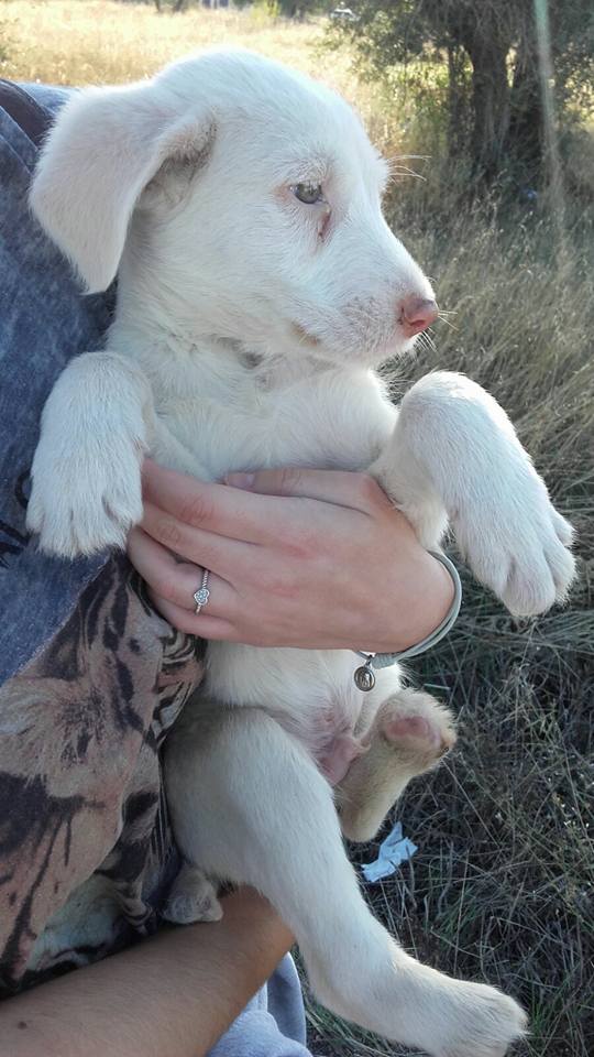 14955967_10206138844590655_3070821203254198589_n