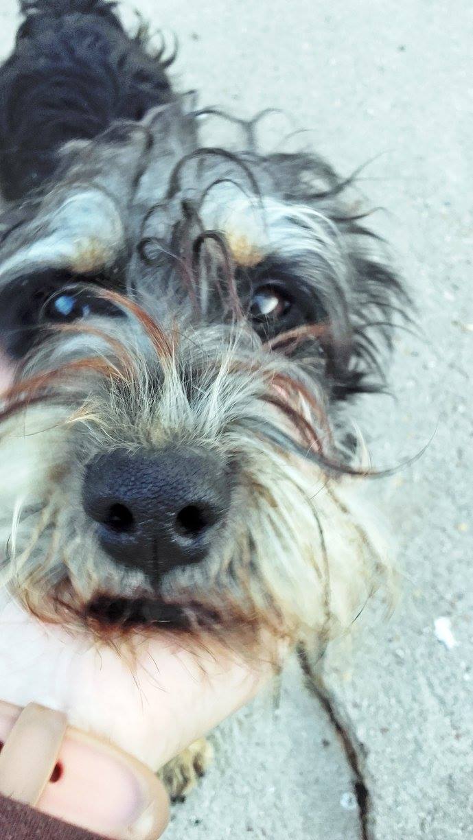 15540965_1407686845921758_4716089084699821651_o