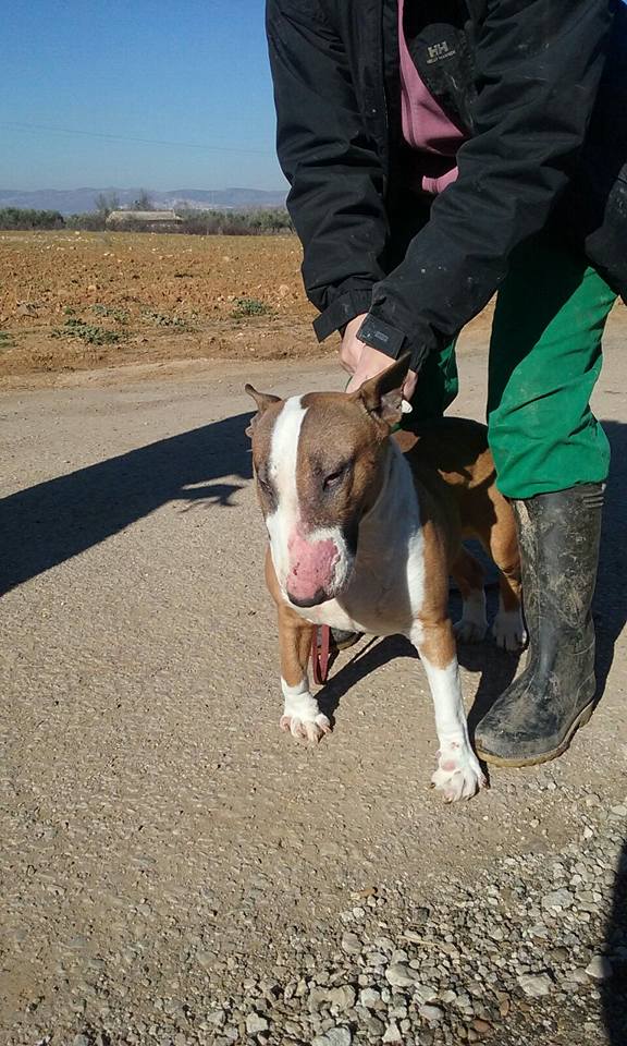 16142846_1447167058640403_7318107470718853960_n