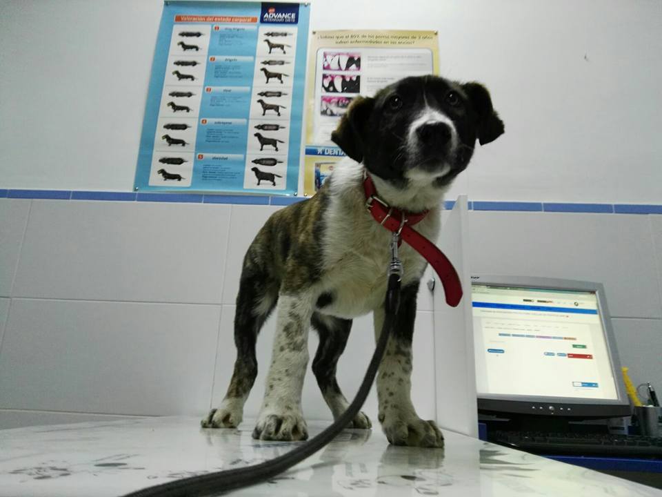 16298721_1450021868354922_5739344855652515275_n