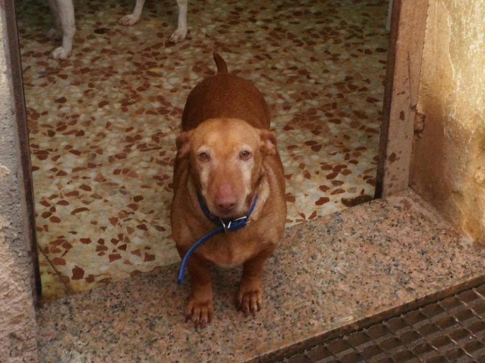 16649540_1475508532472922_3128308921990904957_n