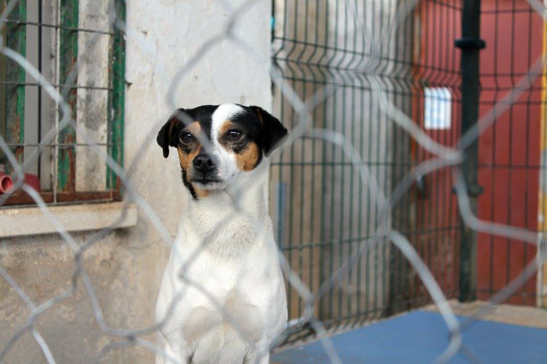 16819486_1475513599139082_5103005275962829645_o