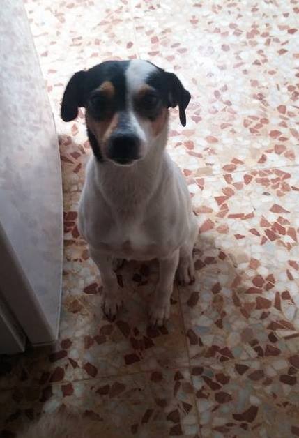 16830951_1475514139139028_8414665979363069380_n