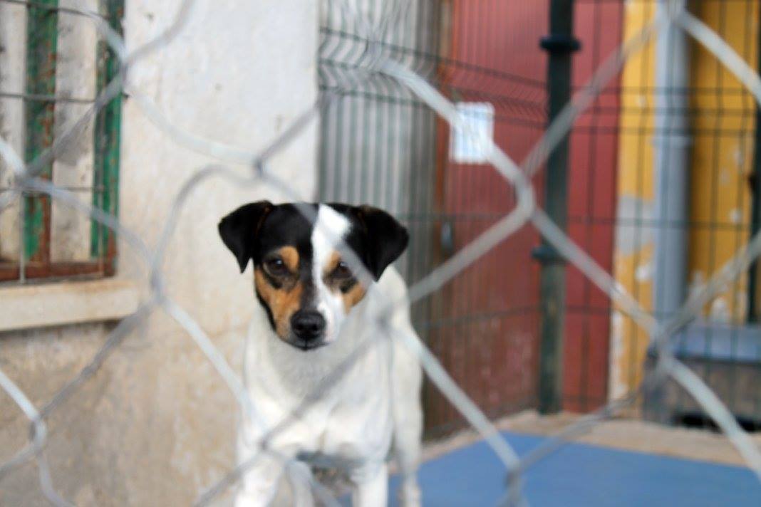 16904856_1475513602472415_8000804391826764460_o