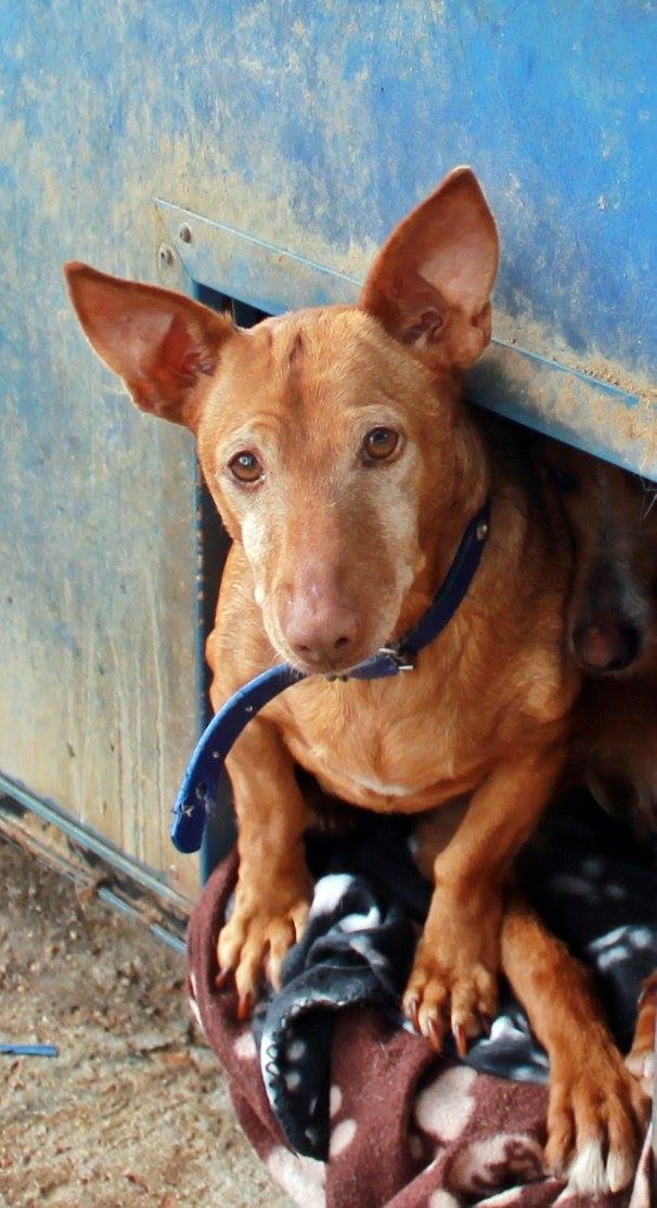 16904991_1475507009139741_6594702788960683246_o