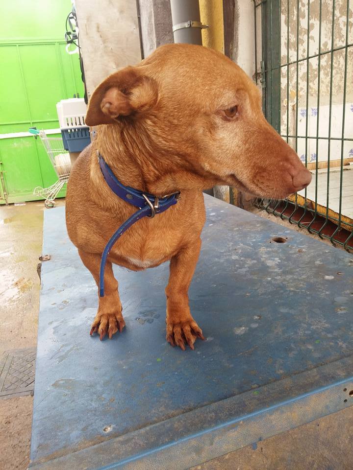 16938630_1475508529139589_6129886563998183500_n