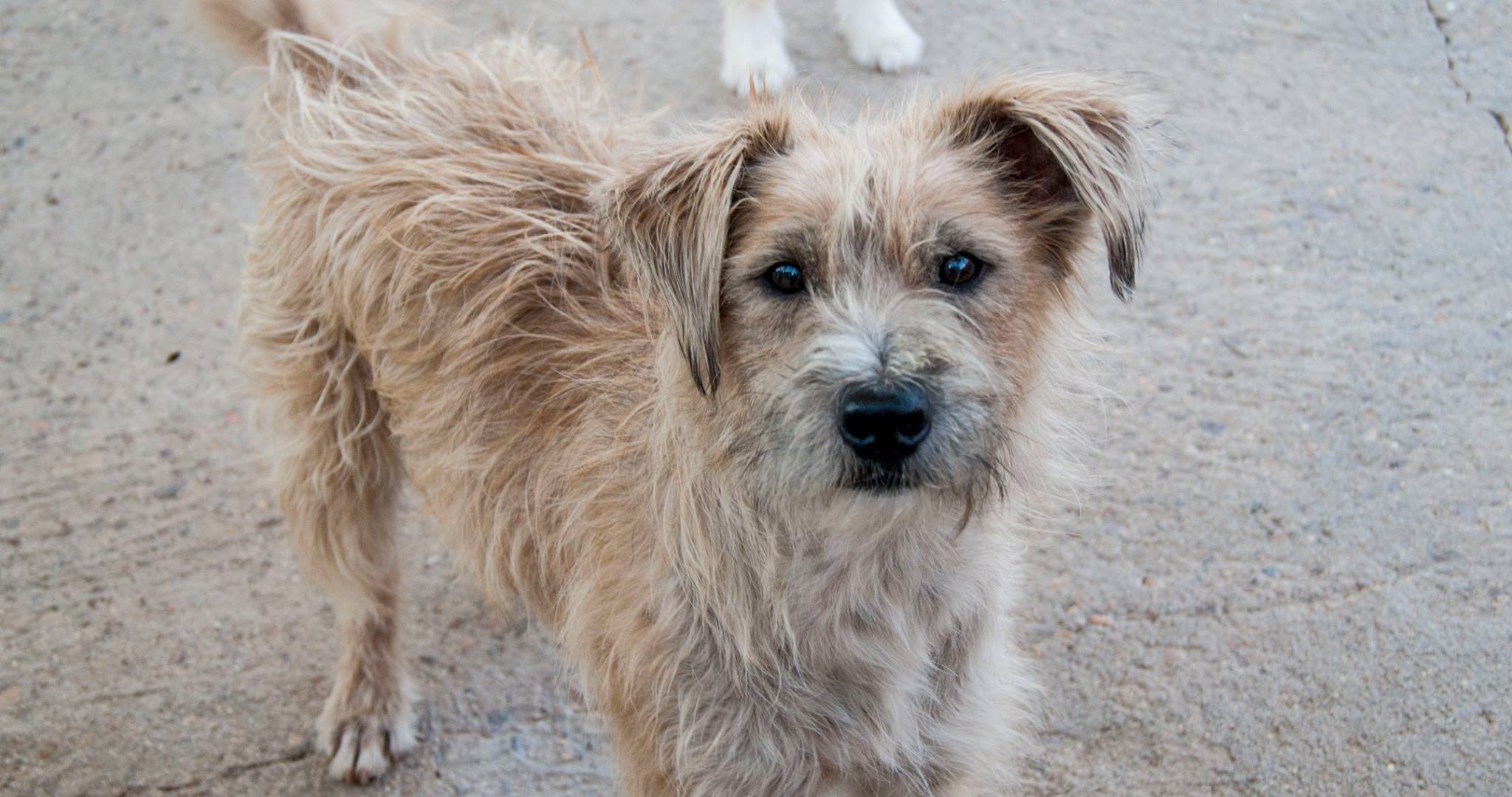 14066339_1283408308349613_9120974164194574150_o