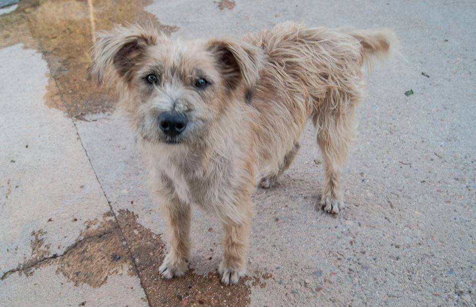 14079613_1283408255016285_3294254663333588966_n