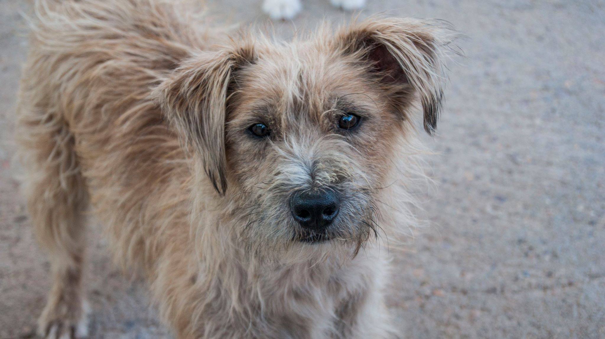 14115655_1283408265016284_2564116880072113215_o