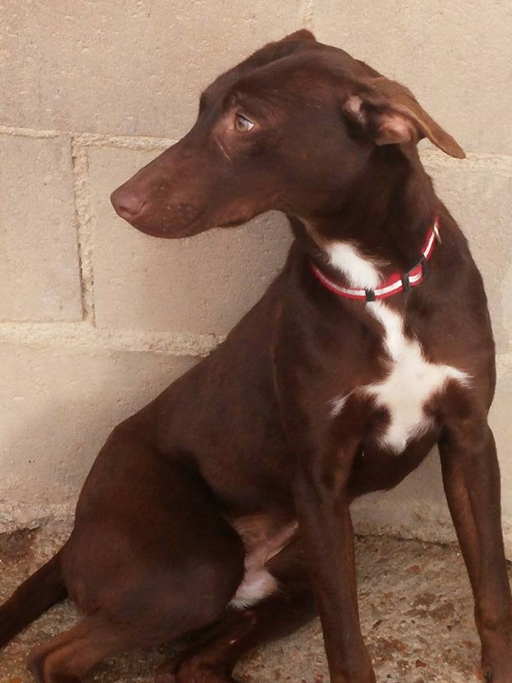 16387045_1456456197711489_8294380779214749483_n