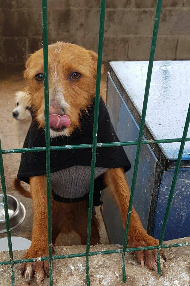 16387377_1453473701343072_4295230943138948836_n