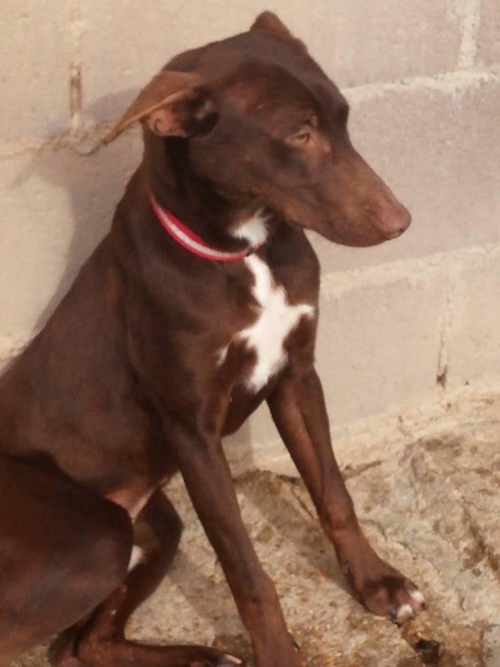 16388003_1456456137711495_4011841600212831096_n