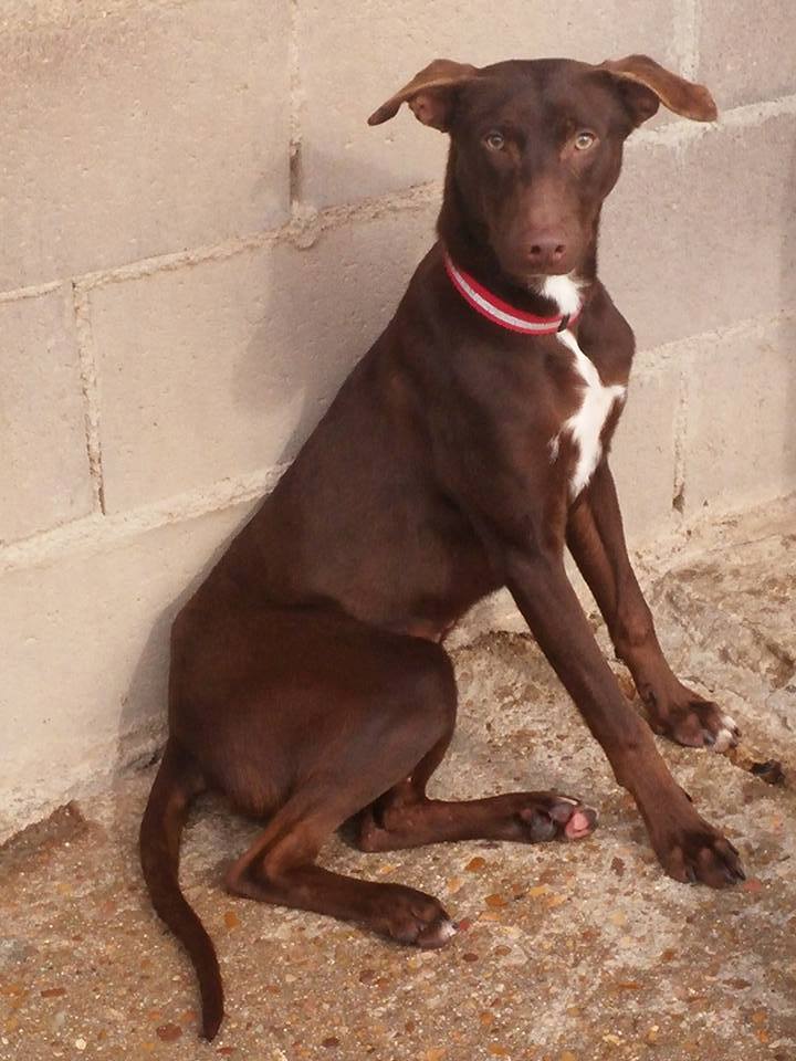 16473159_1456456191044823_252032041483587452_n