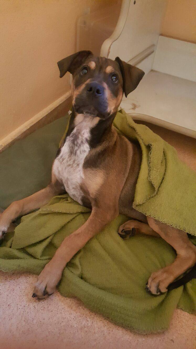 16587131_1462535010436941_2008727046043733746_o