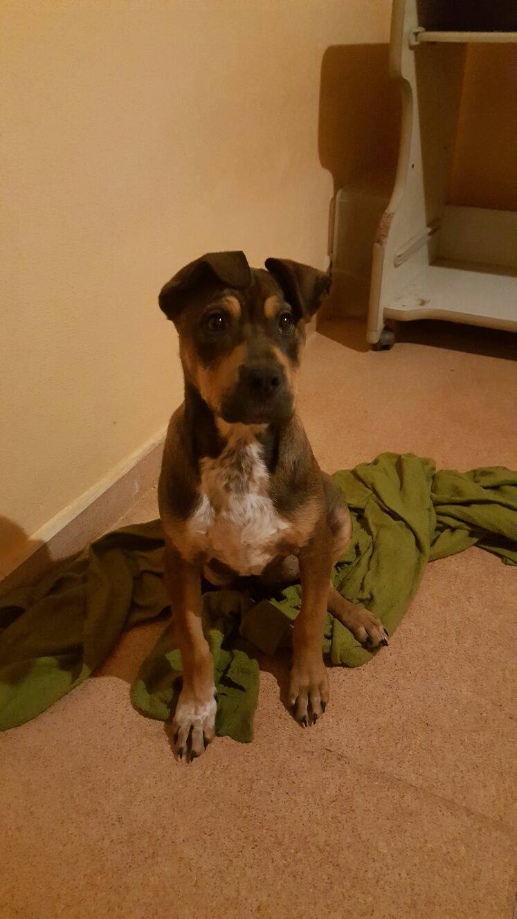 16715964_1470397086317400_4456429981484835840_o