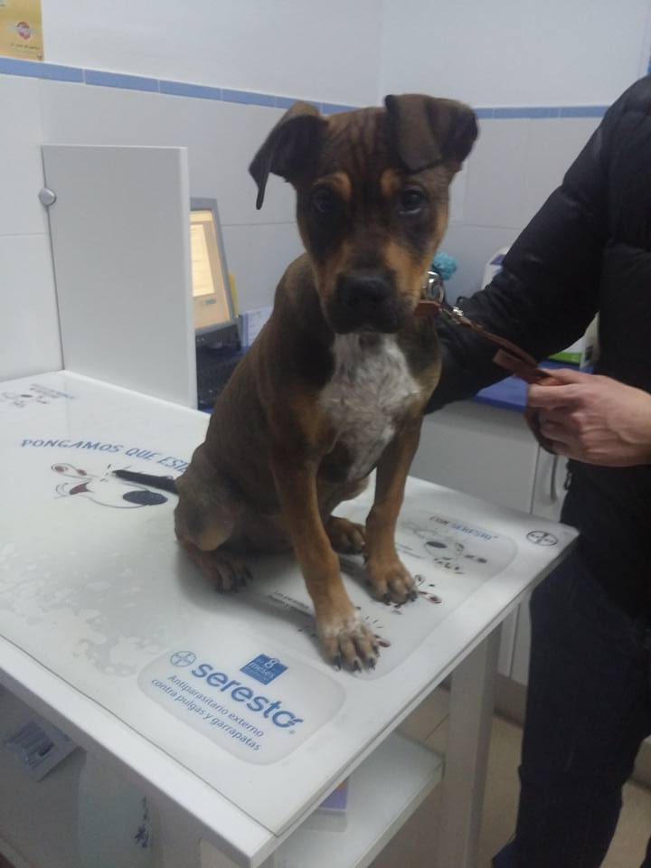 16729385_1466060610084381_2600675617988947867_n