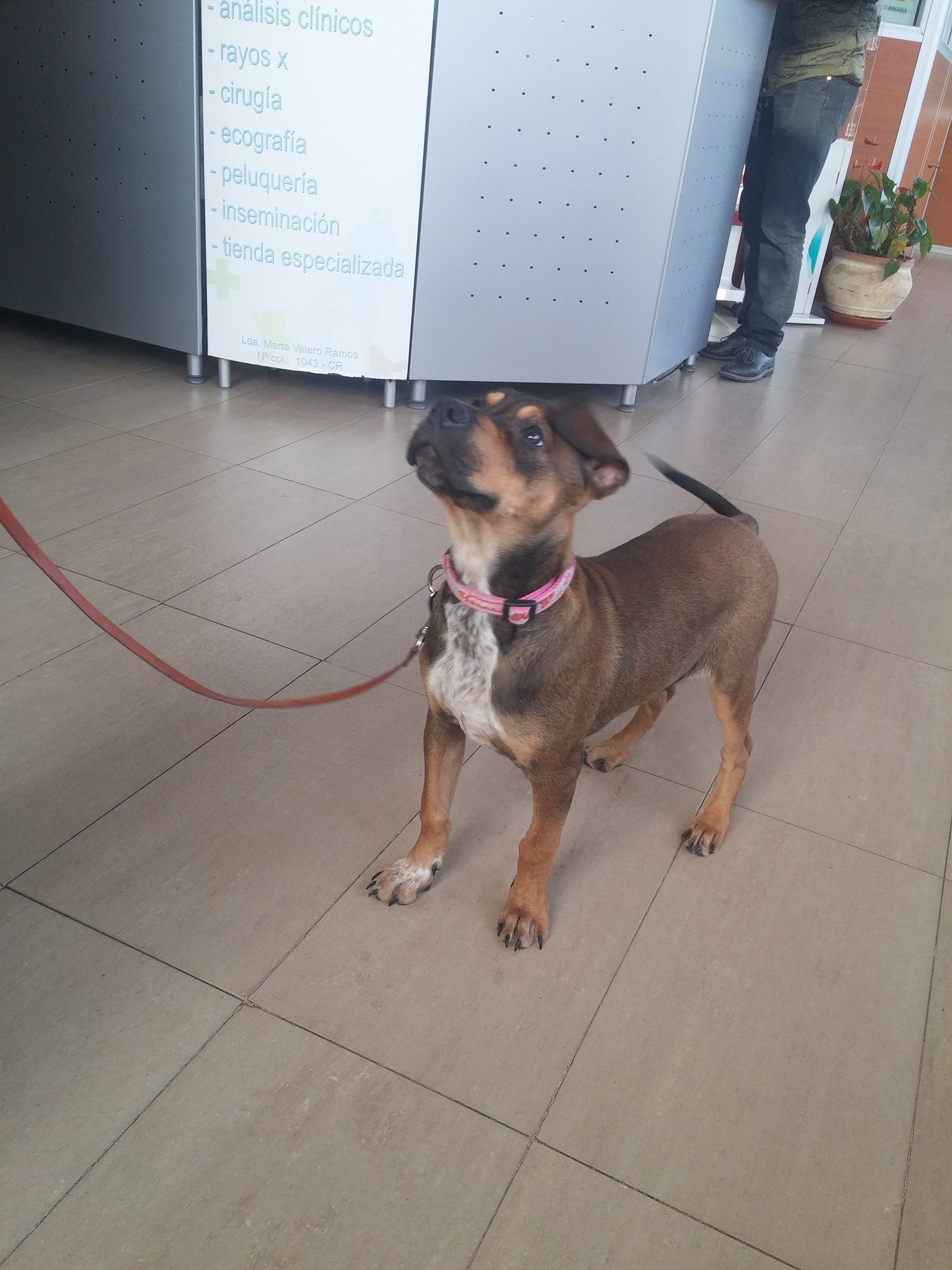 16835887_1479029952120780_6121280106732465840_o