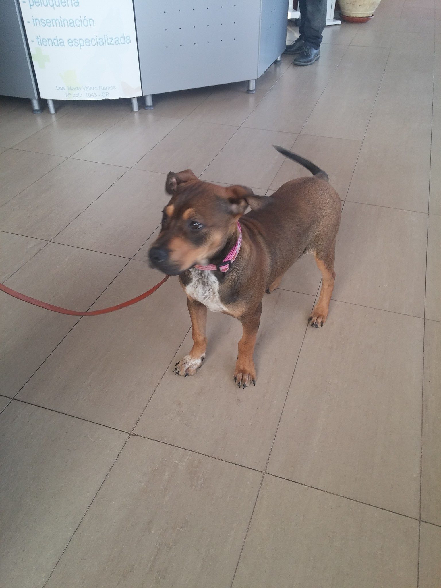 16836365_1479029915454117_518555919503650467_o