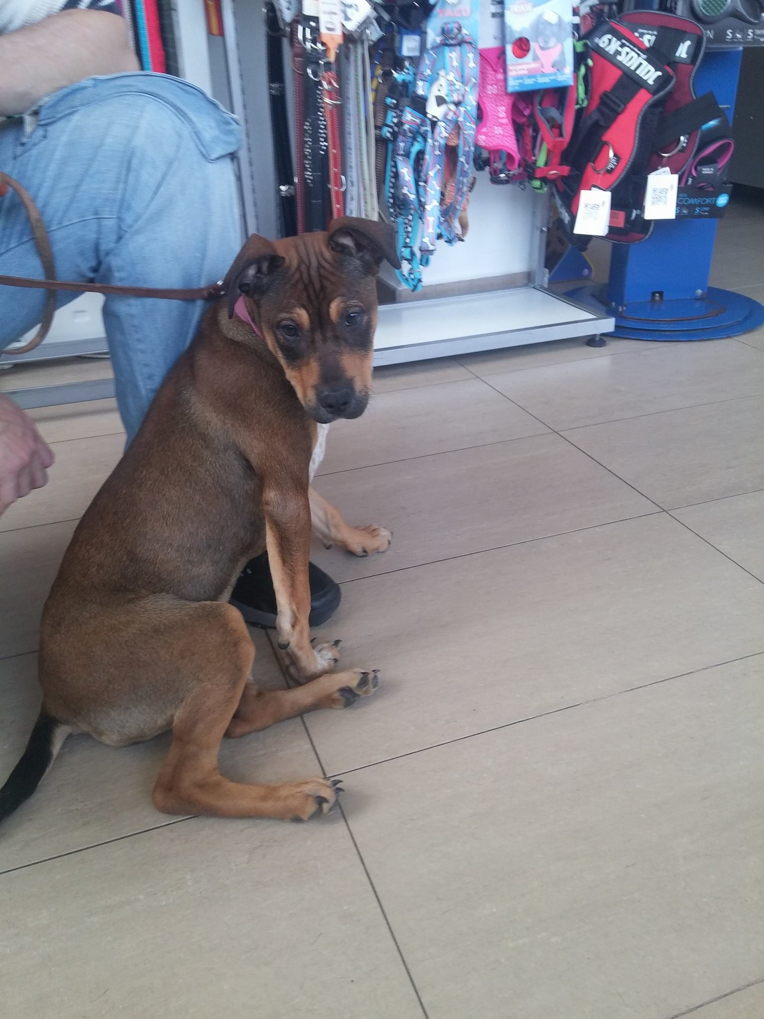 16836415_1479030122120763_815002770471932815_o