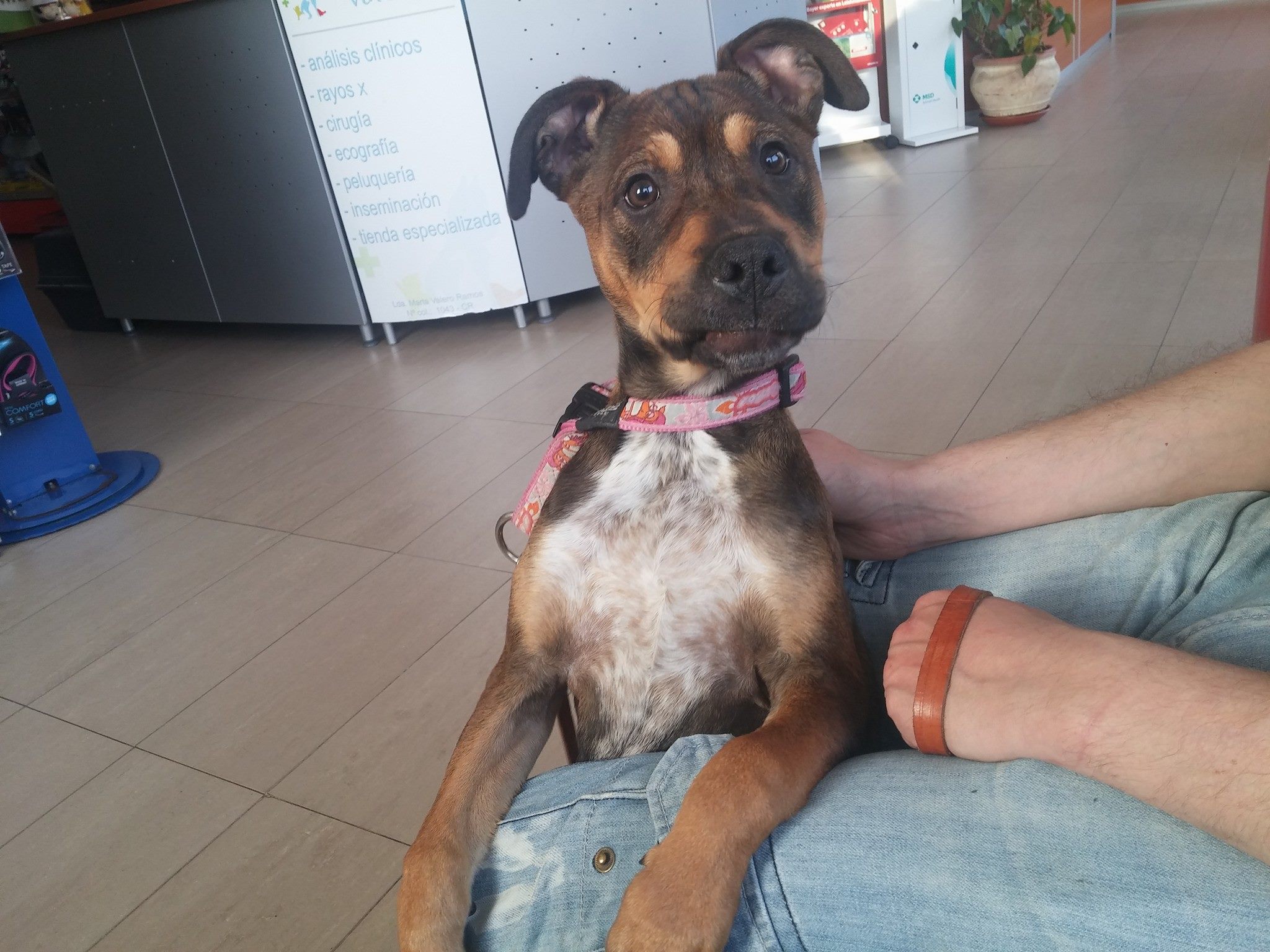 16904741_1479030162120759_2048033605070162199_o