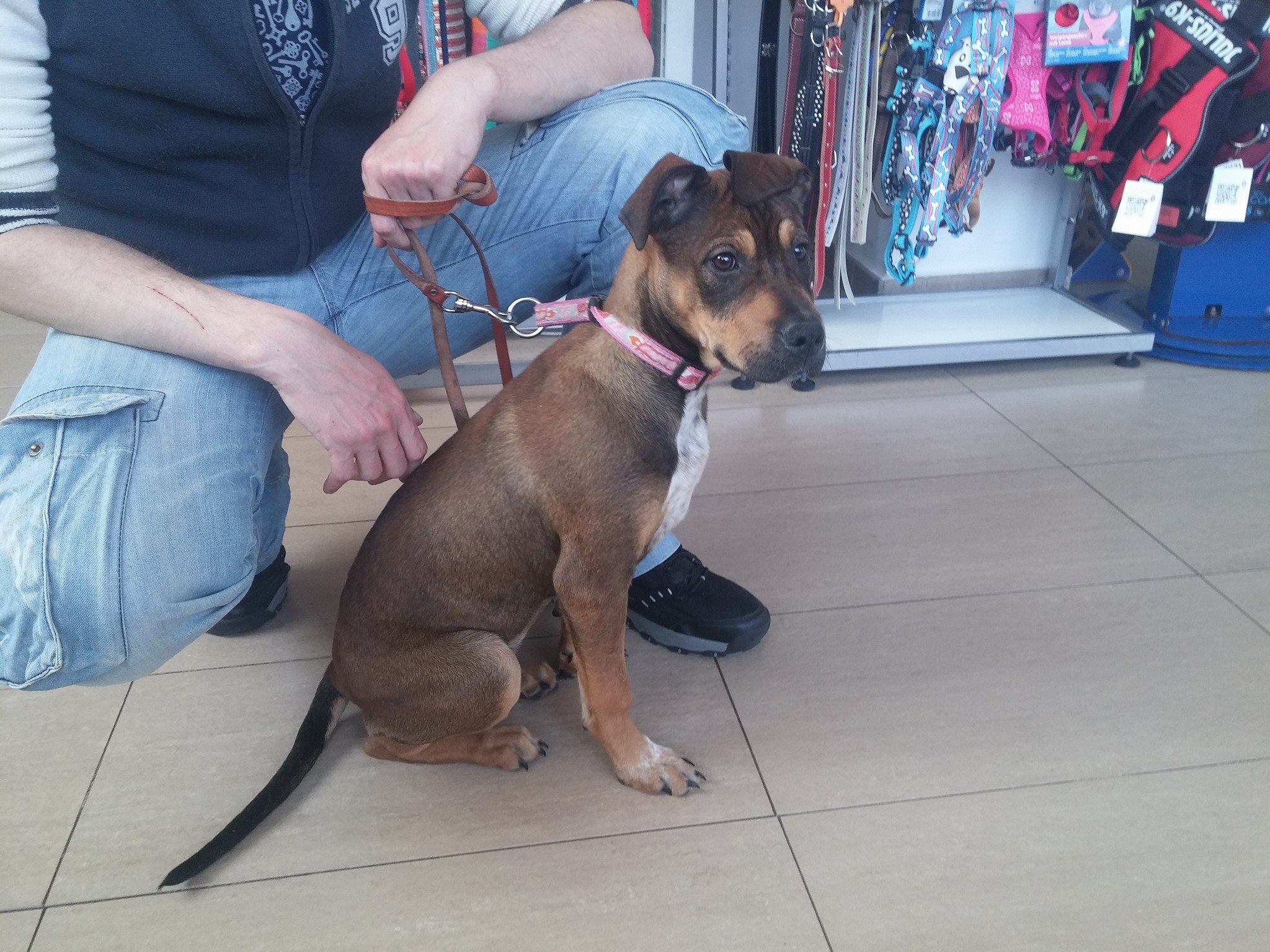 16904982_1479029995454109_7420973780106945022_o