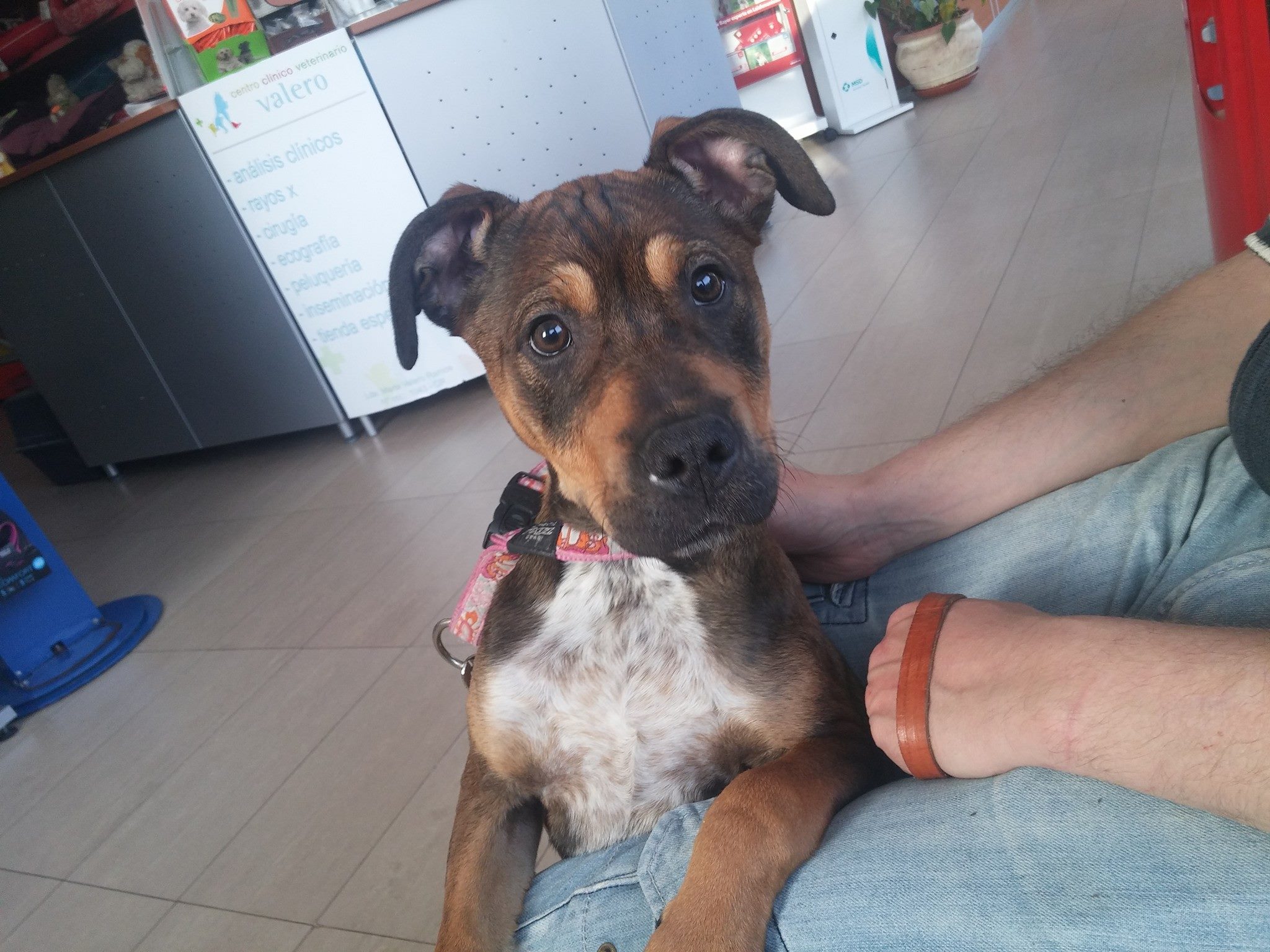 16991582_1479030208787421_7283007079223156671_o