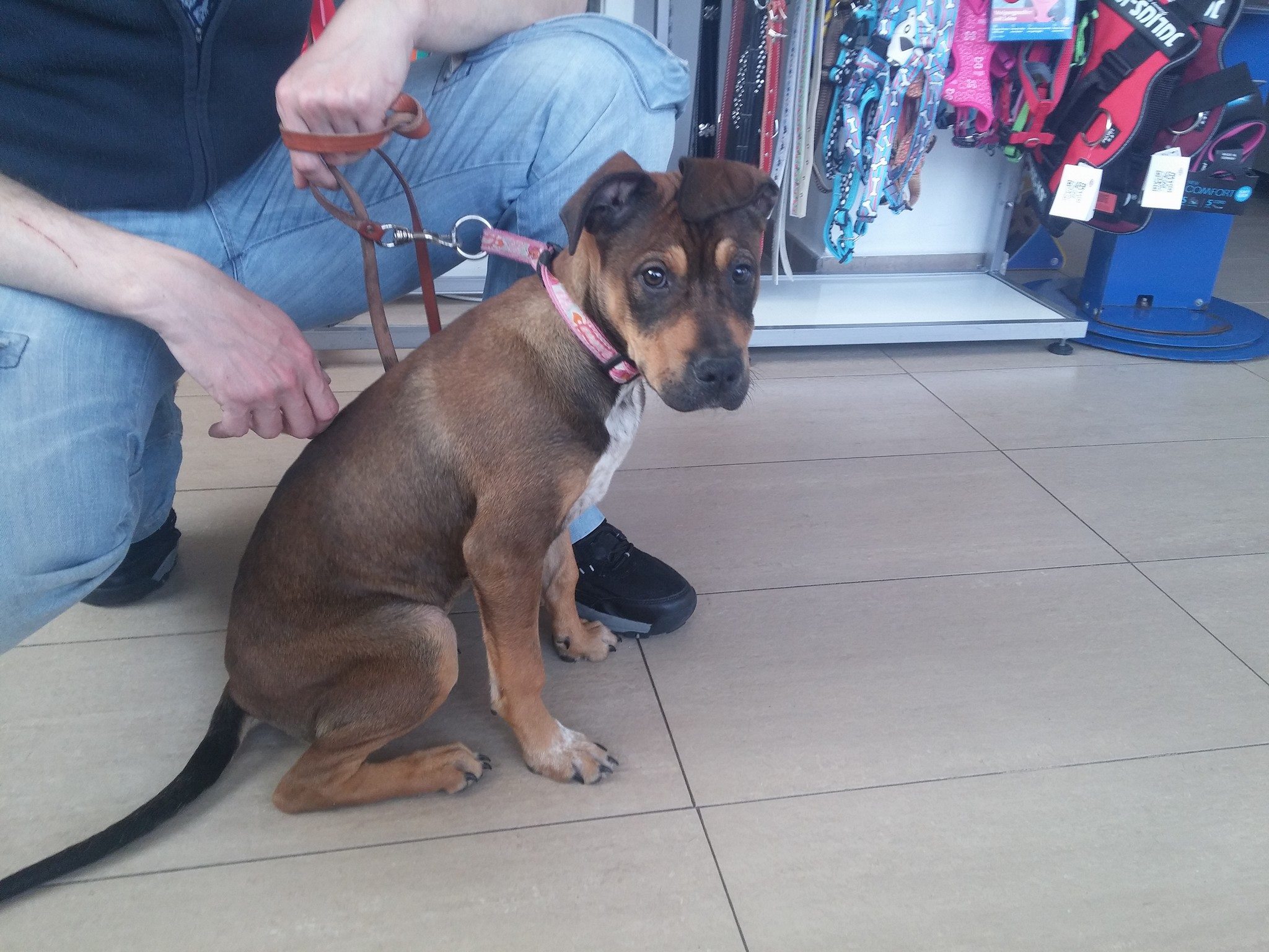 17015853_1479030038787438_4840394541676081491_o