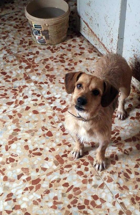 17021362_1484311681592607_980543925505532060_n