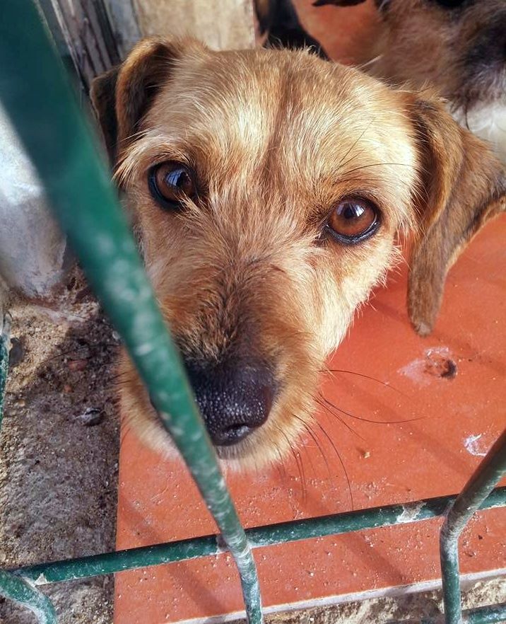 17022254_1484311774925931_7062936773290965980_n