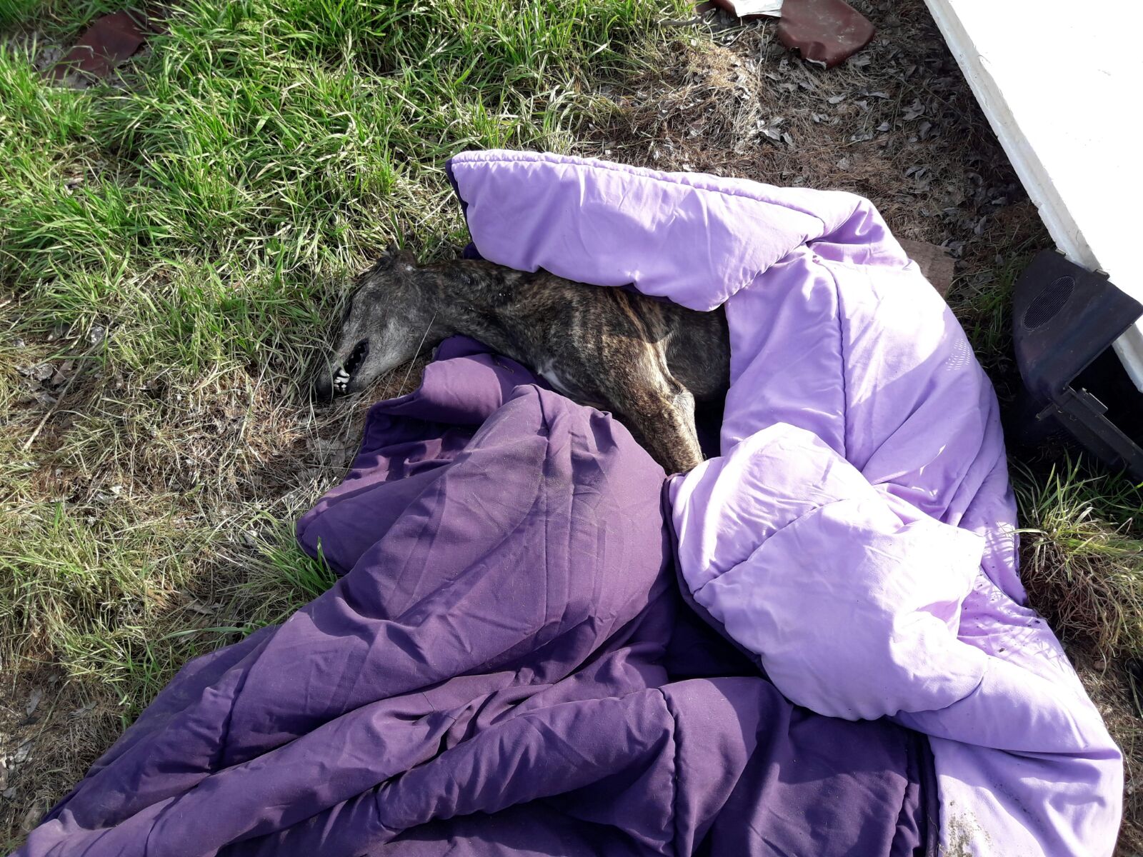 WhatsApp Image 2017-02-19 at 17.27.50