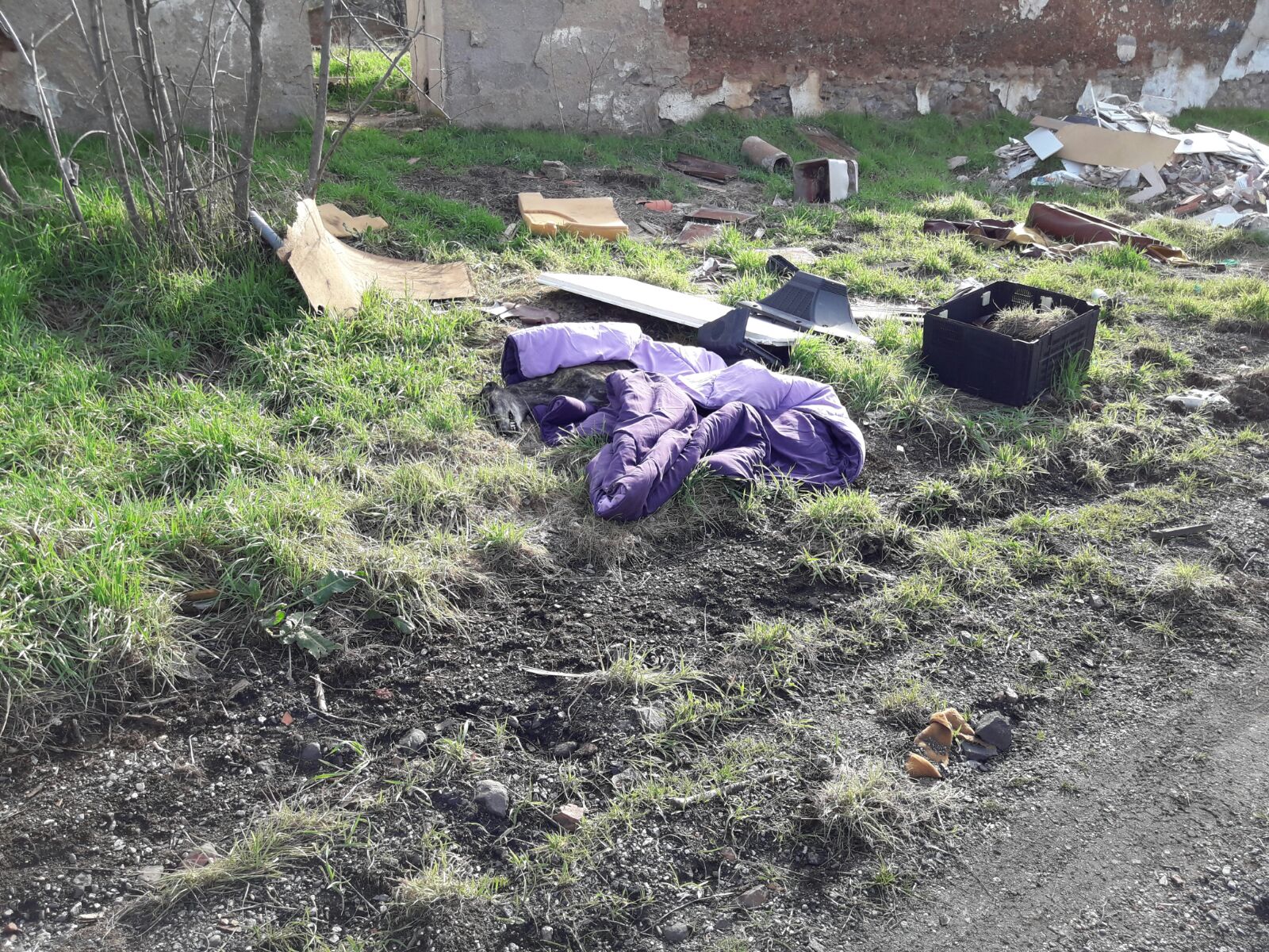 WhatsApp Image 2017-02-19 at 17.29.03