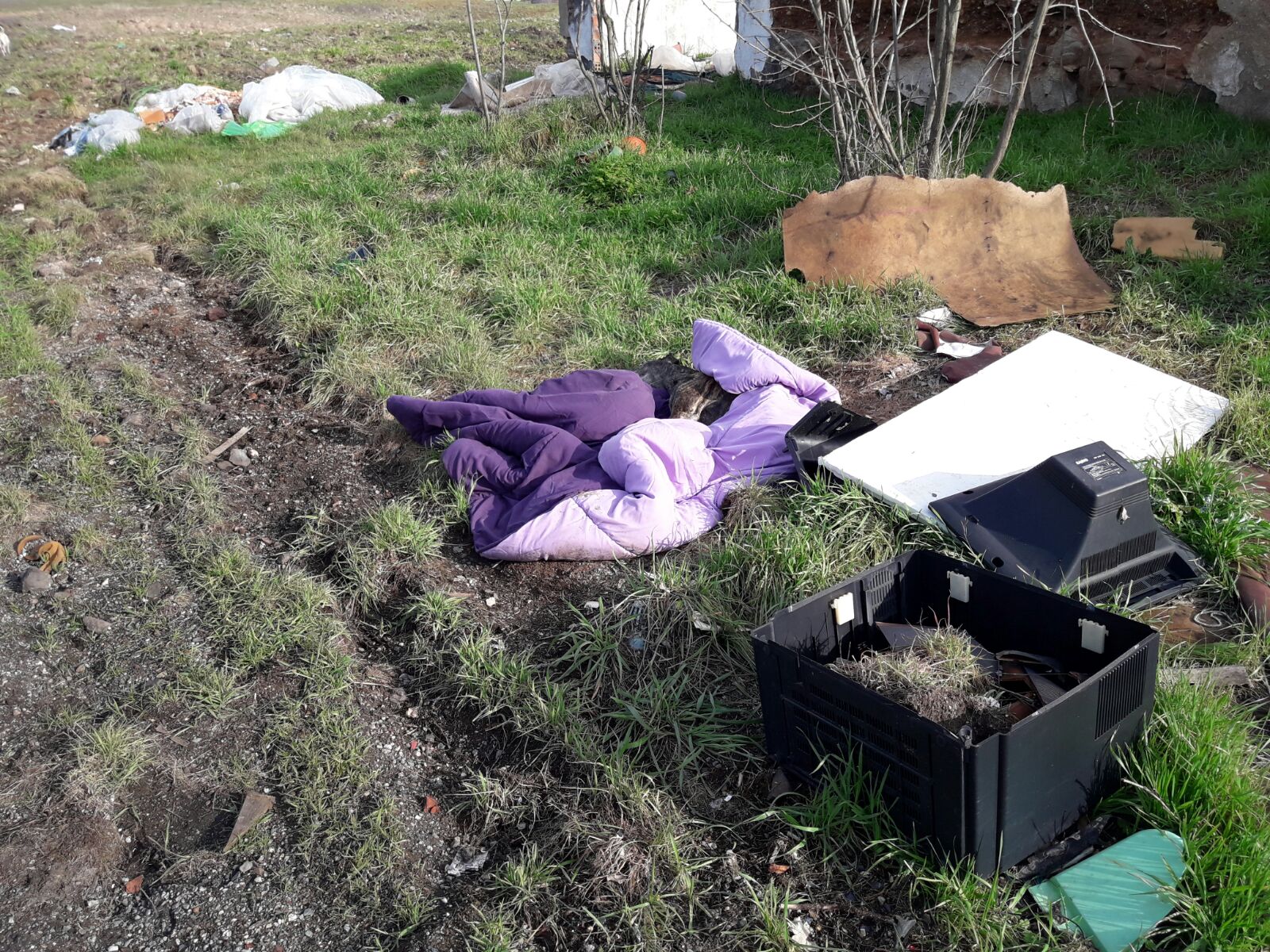 WhatsApp Image 2017-02-19 at 17.42.23