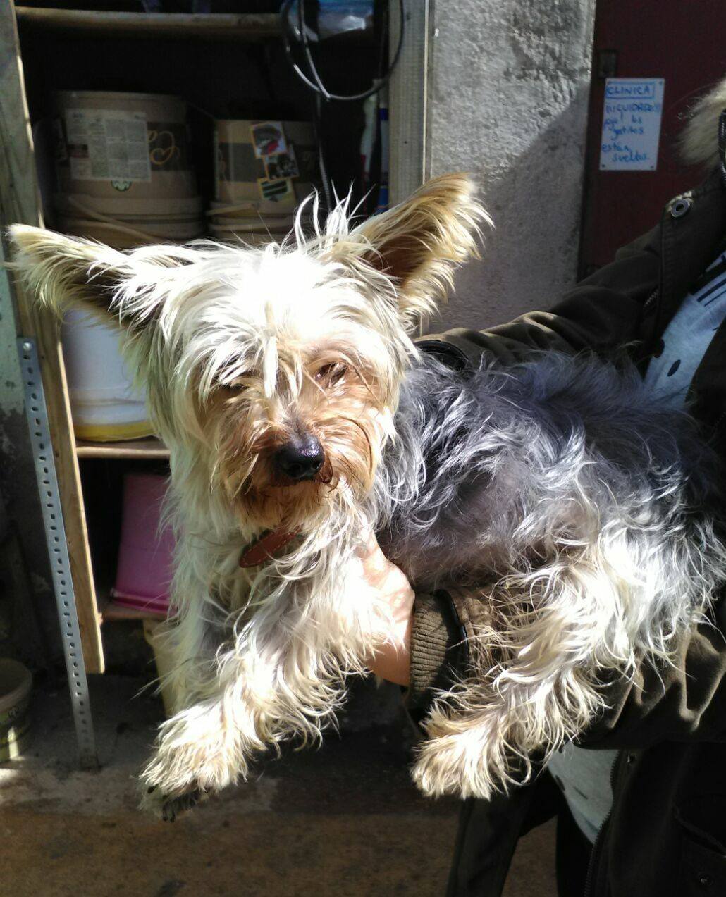 17157693_1491181837572258_4350271276906196598_o