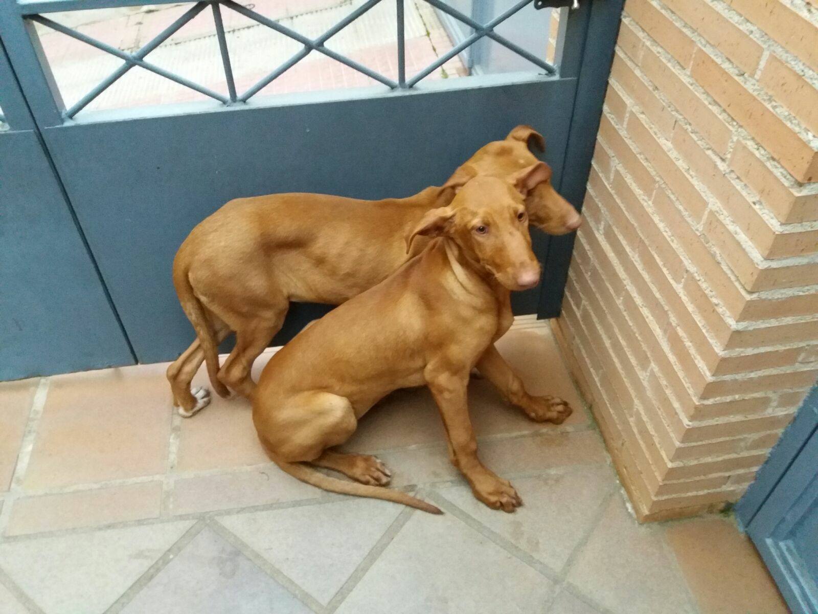 17158893_1487489461274829_8180127558943115443_o