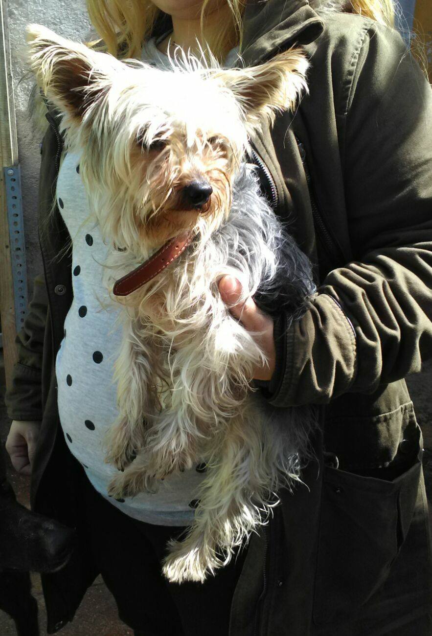 17159286_1491181864238922_6732160779655974228_o