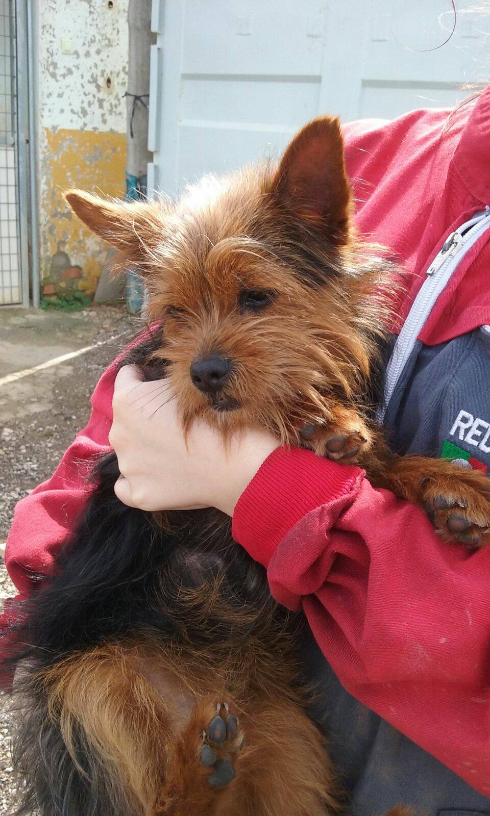 17546923_1509481875742254_5993242900479241685_o