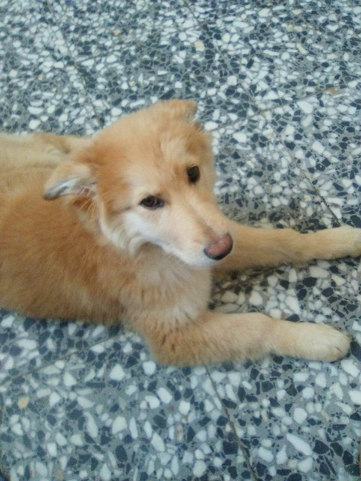 17760855_1525862584104183_9156513969340337044_o