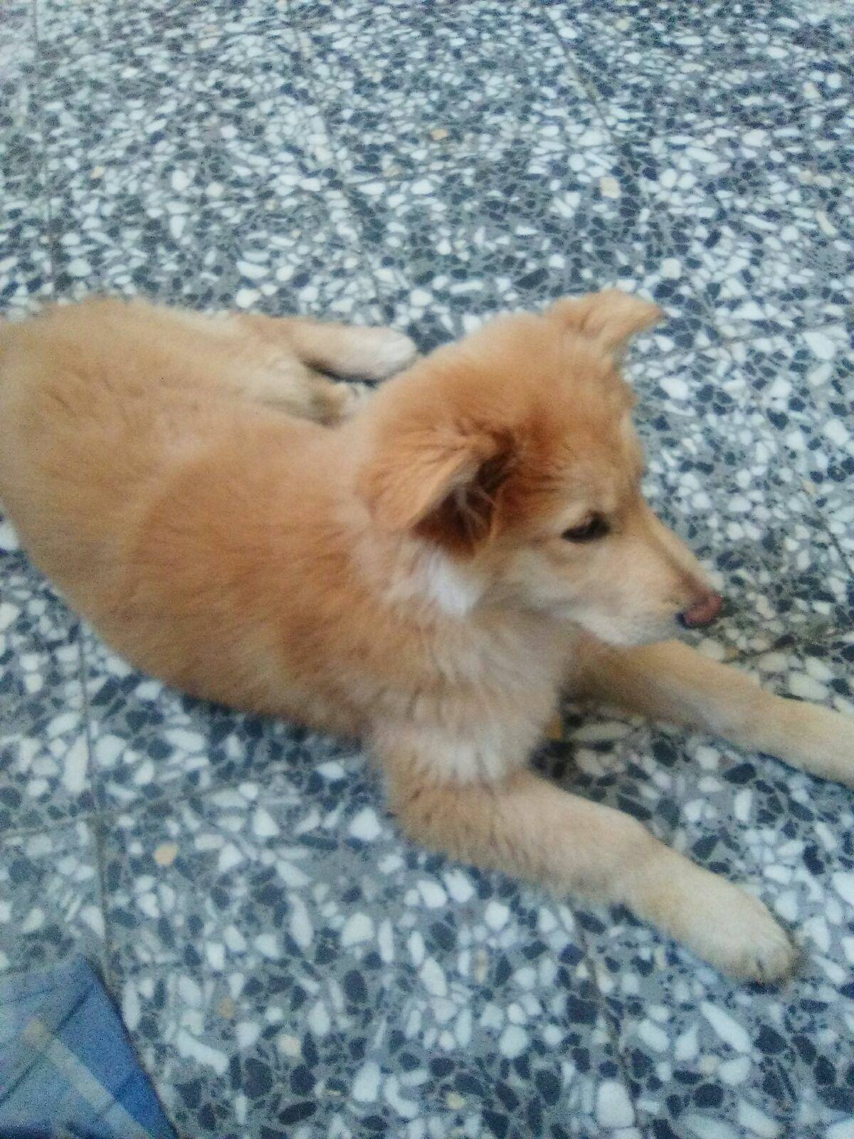 17854877_1525862520770856_8782588082870829603_o