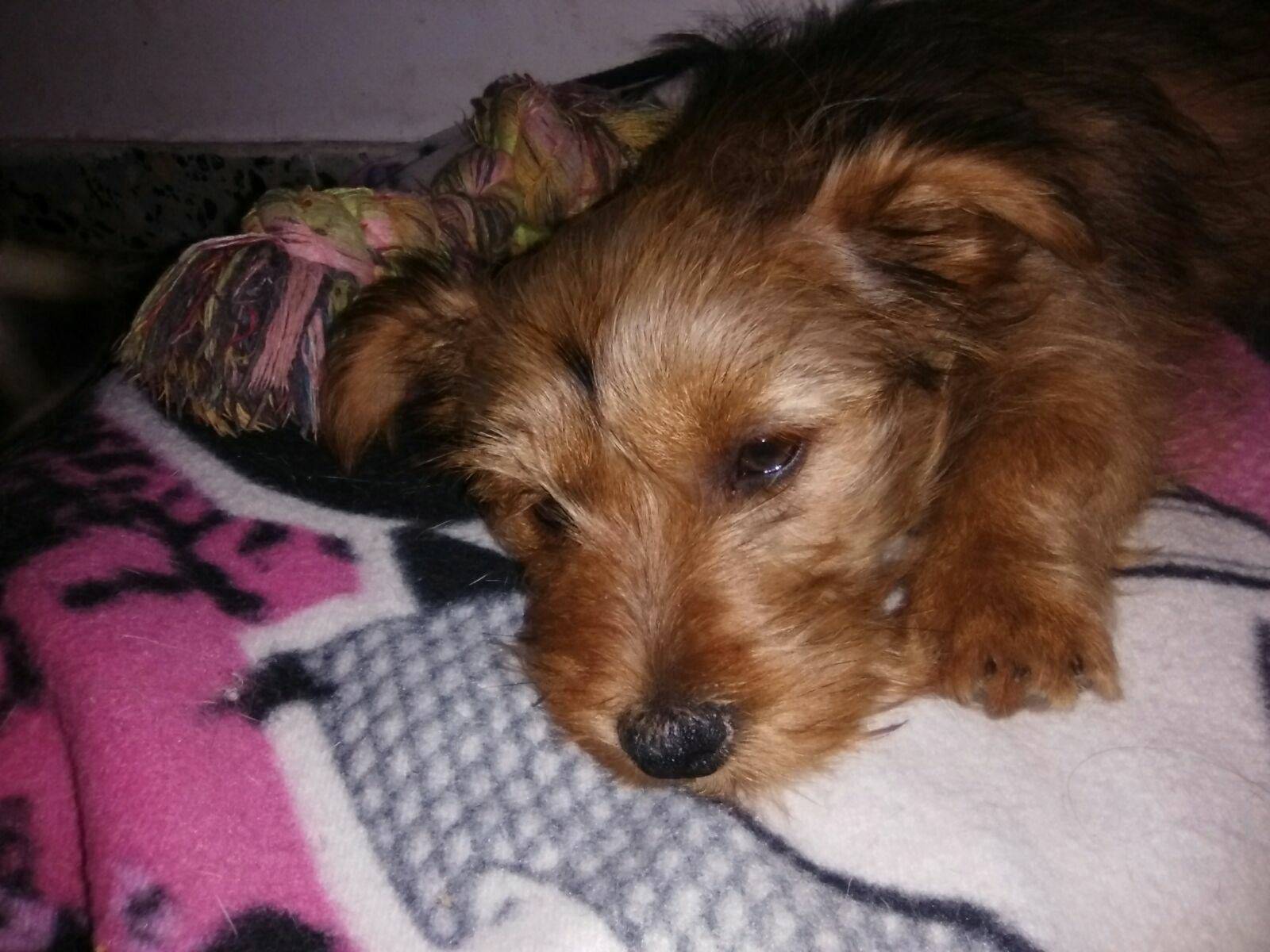 18359492_1561964967160611_6027819697106469196_o