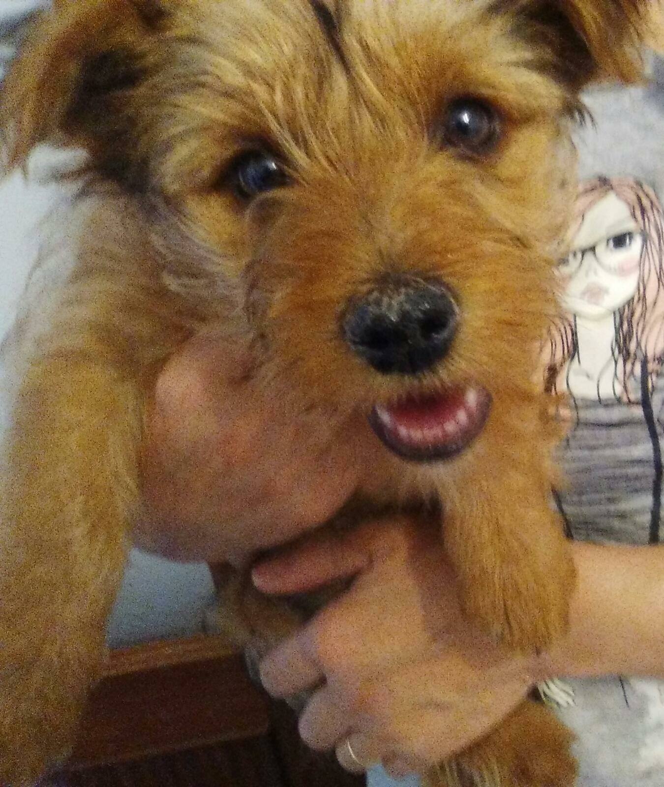 18401858_1561965190493922_1463440836051900197_o