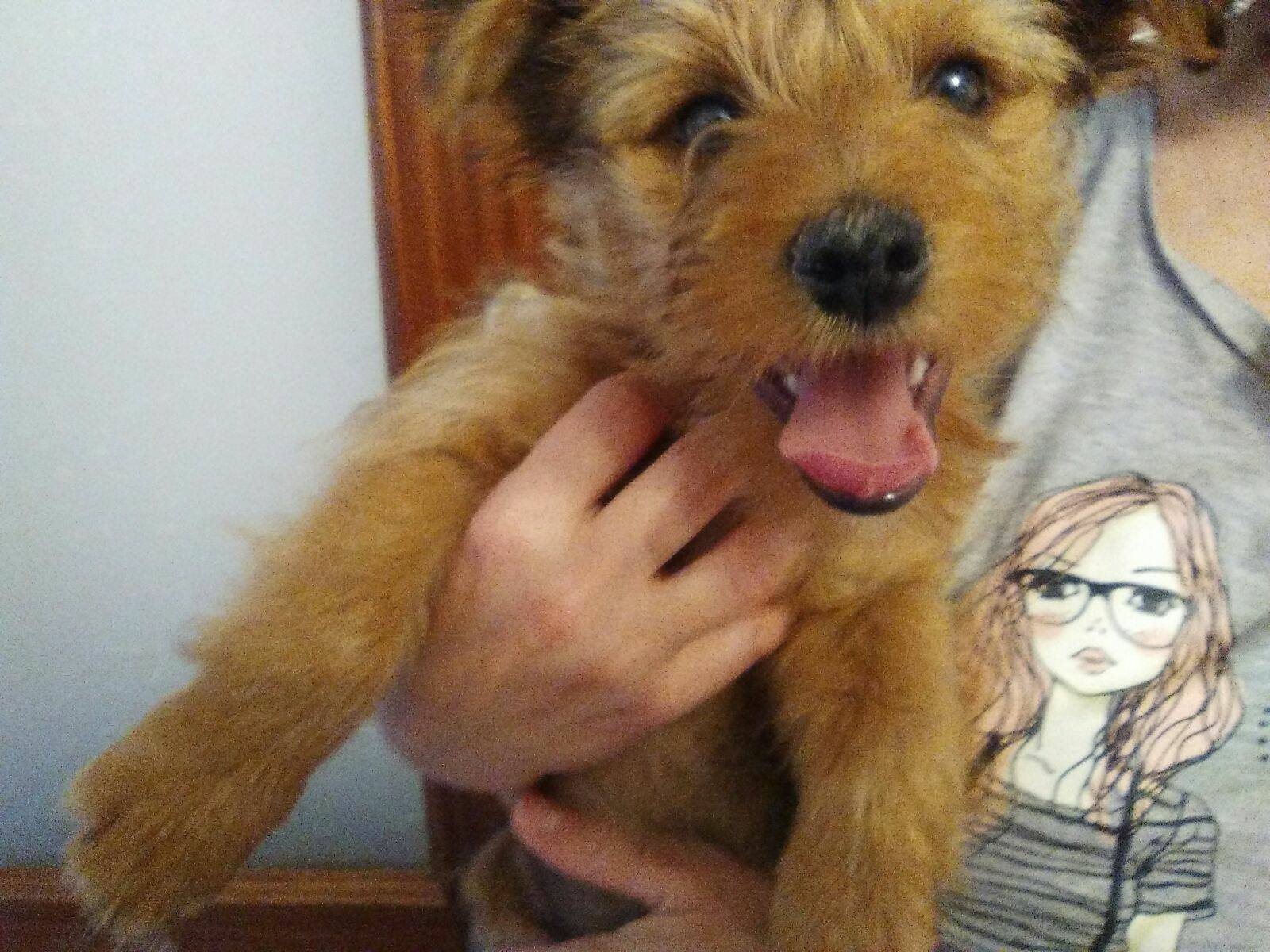 18403956_1561965117160596_6909844228628113821_o