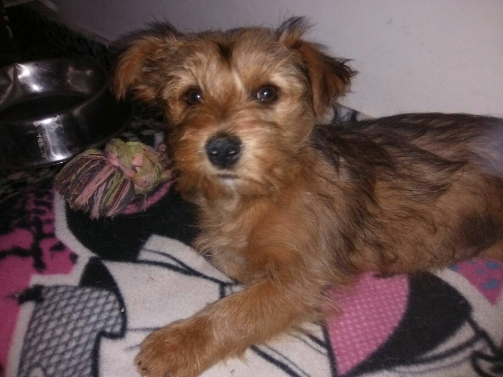 18404069_1561965050493936_4117944545447945844_o