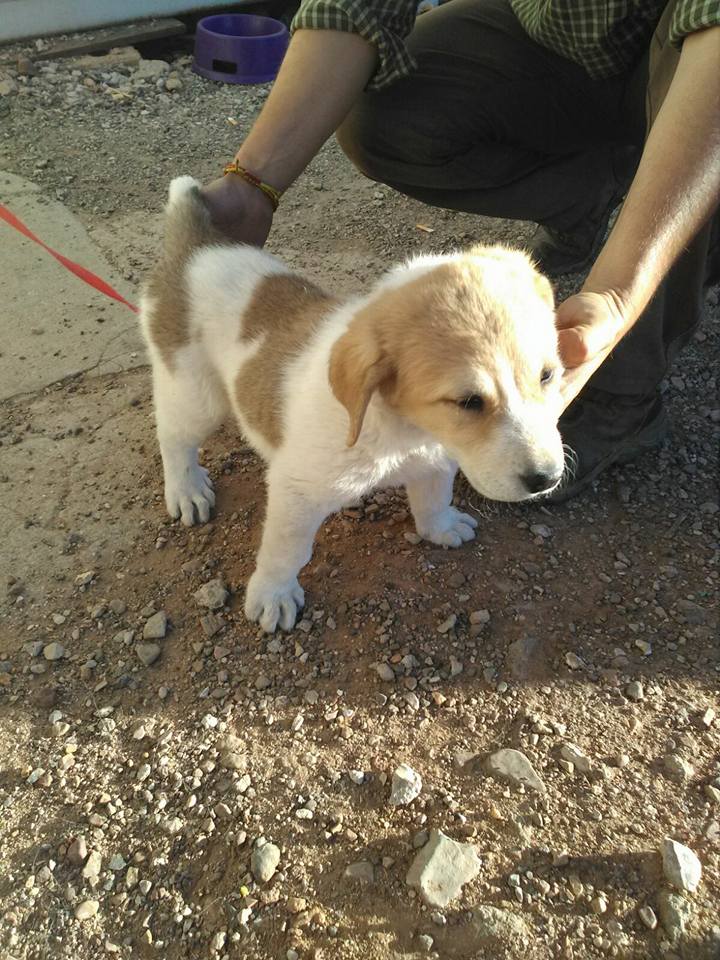 18556246_1573389569351484_1143240126585657486_n