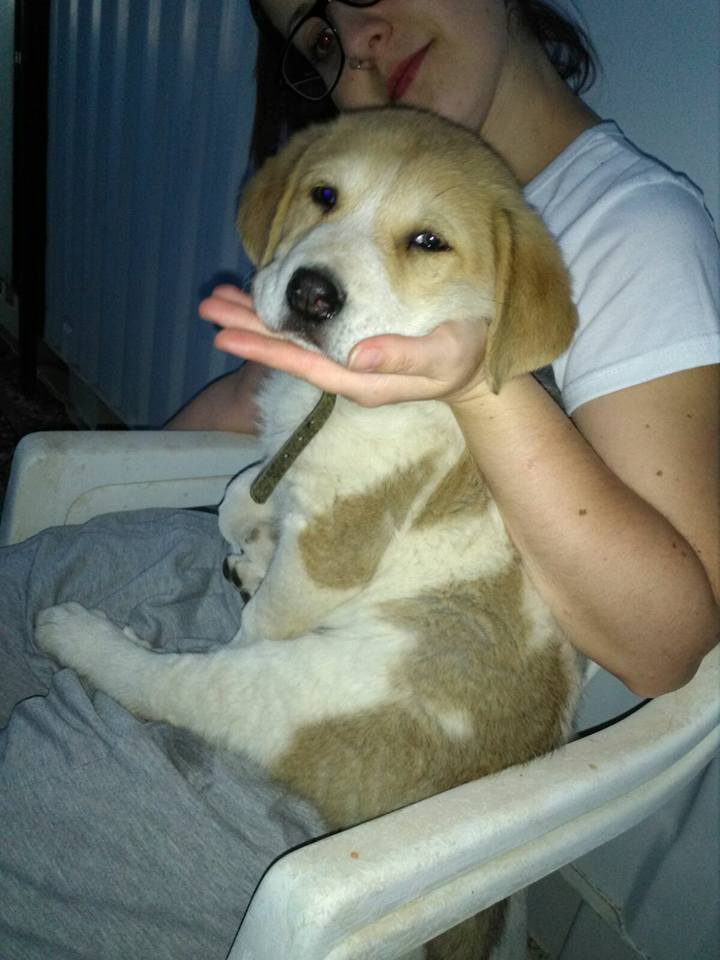 18582117_1573389612684813_5465799951297267226_n