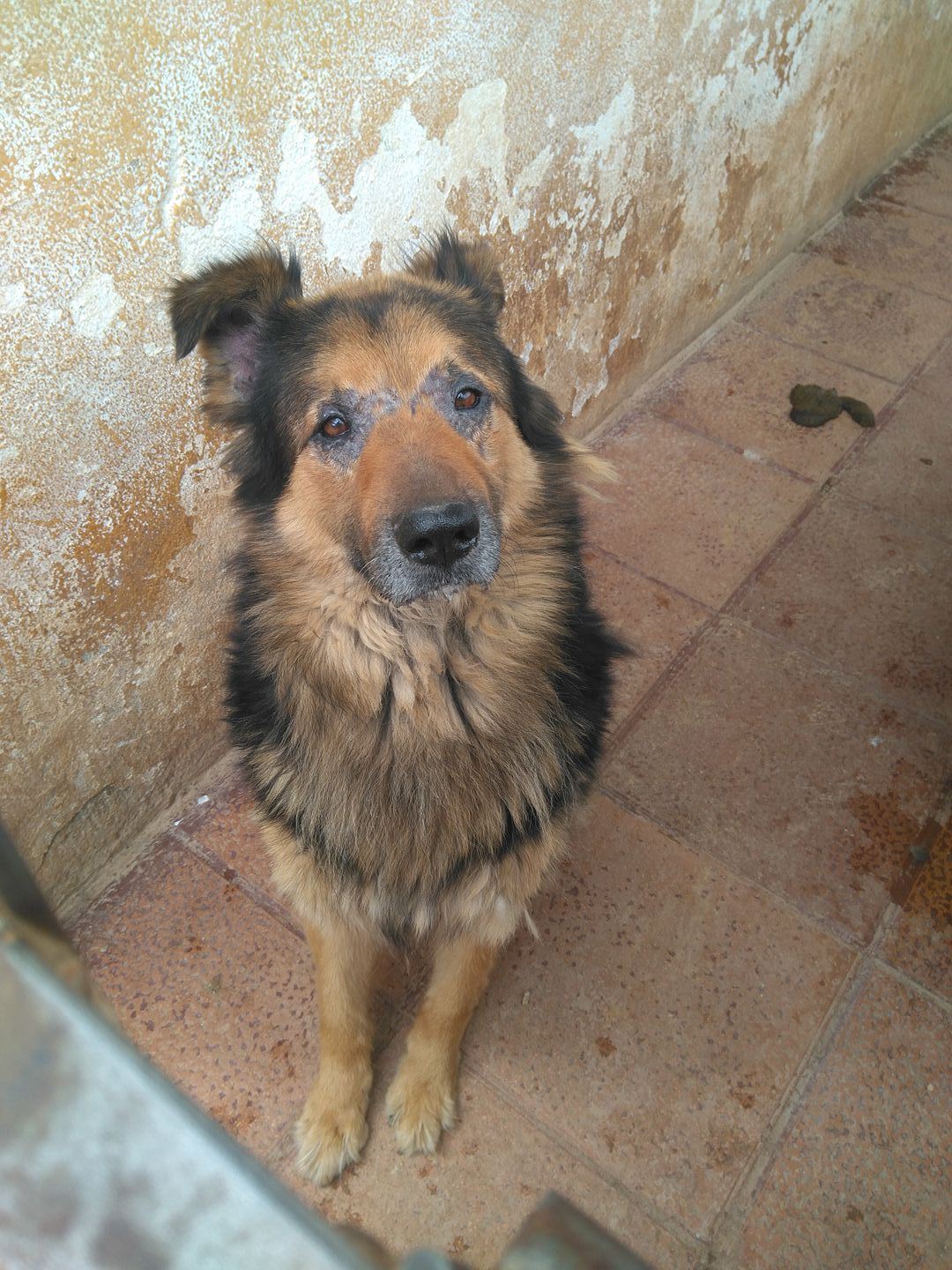 18422774_1885181211730421_6147381584355560426_o